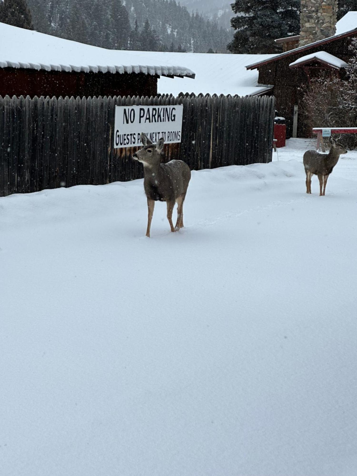 Deer Lodge レッドリバー エクステリア 写真