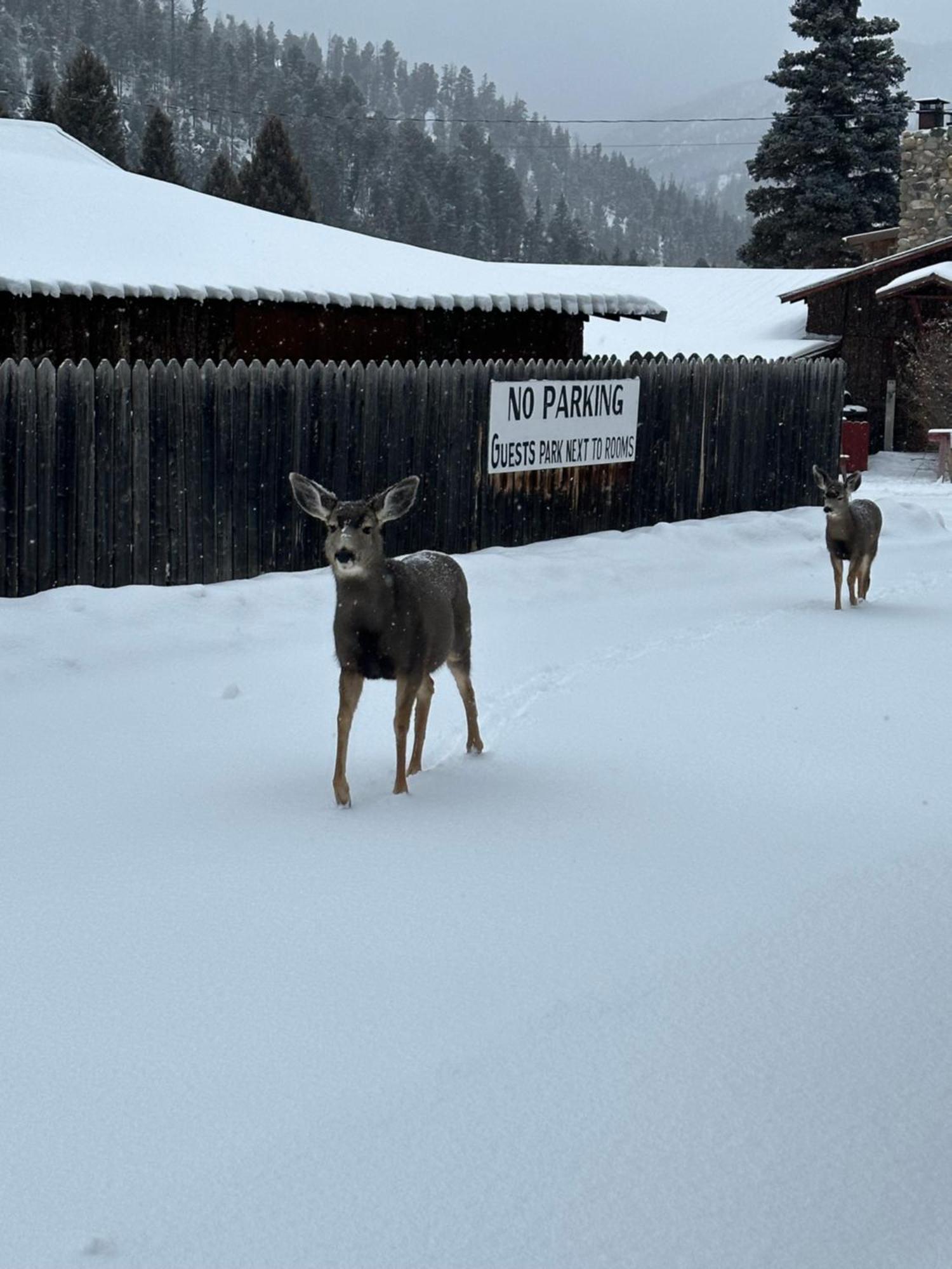 Deer Lodge レッドリバー エクステリア 写真